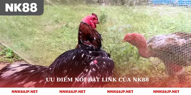 Ưu điểm nổi bật link của NK88